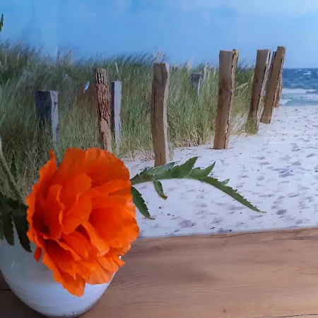 Rosenberg 13 1d Dg Re *