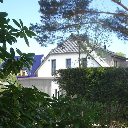 Rosenberg 13 1d Dg Re * Zingst